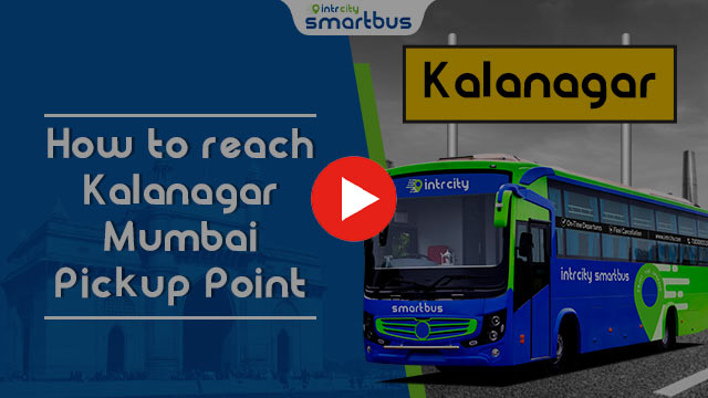 Passenger video testimonial on IntrCity SmartBus
