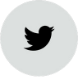 twitter icon
