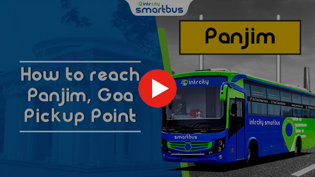 Passenger video testimonial on IntrCity SmartBus